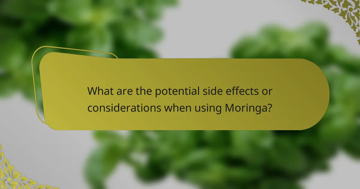 What are the potential side effects or considerations when using Moringa?