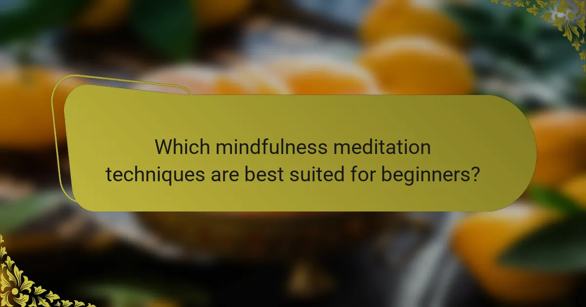 Which mindfulness meditation techniques are best suited for beginners?